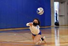 Volleyball vs RWU  Wheaton Women’s Volleyball vs Roger Williams University. : Volleyball, VB